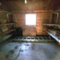 28 First Thought Loop - Photo 12