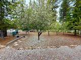315 Palmer Ln - Photo 42