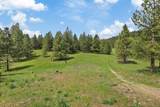 15205 Scribner Branch Rd - Photo 25