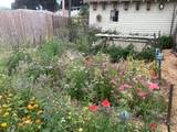272 Alder St - Photo 22