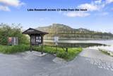 4345 Wilcox Rd - Photo 40