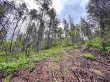 3115 Beardslee Rd - Photo 3