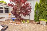 1210 Arc St - Photo 24