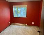 1002-203 7th Ave - Photo 12