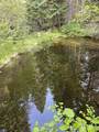 2267 Hawks Rd - Photo 35