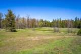 421 Willys Way - Photo 43