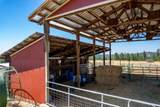 29024 Hardesty Rd - Photo 35