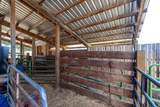 29024 Hardesty Rd - Photo 40
