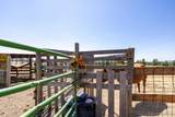 29024 Hardesty Rd - Photo 41