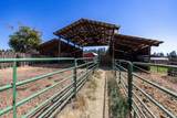 29024 Hardesty Rd - Photo 42