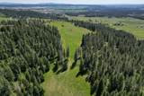 17323 Lower Greenbluff Rd - Photo 43