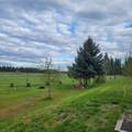 15515 Curtis Rd - Photo 32