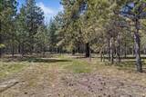 16409 Birdie Rd - Photo 42