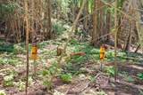 440 Lucky Joe Rd - Photo 36