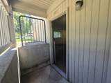 411 Sinto Ave - Photo 13