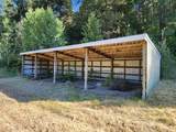 31300 Aspen Ln - Photo 6