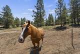 20902 Ritchey Rd - Photo 49