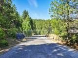 10505 Grouse Mountain Ln - Photo 4