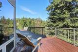 10505 Grouse Mountain Ln - Photo 44