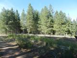 8905 Bridges Rd - Photo 38