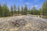 10812 Arabian Ln - Photo 40