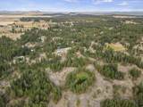 10812 Arabian Ln - Photo 46