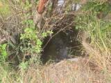 13XX Kitt Narcisse Rd - Photo 6