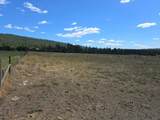 13XX Kitt Narcisse Rd - Photo 10