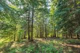 482 Mccammon Dr - Photo 41