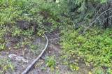 2391 Scott Rd - Photo 30