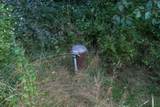 2391 Scott Rd - Photo 32