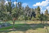 20012 Halliday Rd - Photo 33