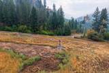 361 Lone Ranch Creek Rd - Photo 9
