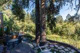 157 Tall Pine Loop - Photo 10