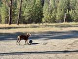 7292 R 291 Hwy - Photo 15
