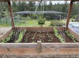 502 Wildflower Ln - Photo 49