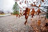6701 Idaho Rd - Photo 4