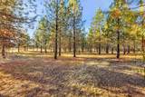 2311 Fairchild Ln - Photo 19