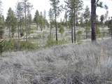 Lot 2 Pine Hen Ln - Photo 1