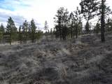 Lot 2 Pine Hen Ln - Photo 11