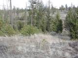 Lot 2 Pine Hen Ln - Photo 12