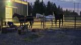 1810 Paradise Rd - Photo 14