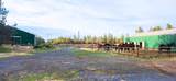 1810 Paradise Rd - Photo 18