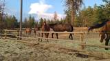 1810 Paradise Rd - Photo 3