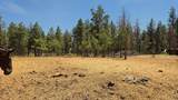 1810 Paradise Rd - Photo 22
