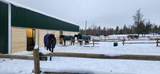 1810 Paradise Rd - Photo 24