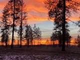 14021 Nelson Rd - Photo 40