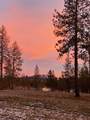 14021 Nelson Rd - Photo 42
