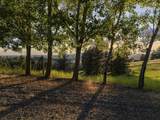 10718 Mica Vista Ln - Photo 48