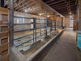 3351 Lone Pine Rd - Photo 42